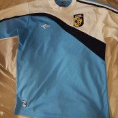 Training/Leisure football shirt 2010 - 2011