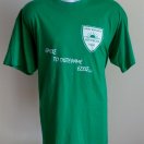 Anagennisi Dheryneia football shirt 2011