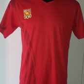 Home football shirt 2016