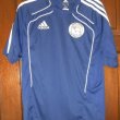 Training/Leisure football shirt 2010 - 2011