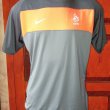 Training/Leisure football shirt 2010