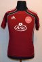 Denmark Training/Leisure football shirt 1986 - 2011