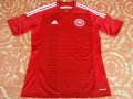 Denmark Home football shirt 2014 - 2016