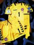 Denmark Goalkeeper football shirt 2016 - 2017