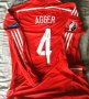 Denmark Home football shirt 2014 - 2016