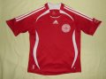 Denmark Home camisa de futebol 2006 - 2008