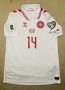 Denmark Away football shirt 2024 - 2025