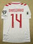 Denmark Away football shirt 2024 - 2025