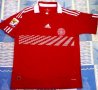 Denmark Home football shirt 2010 - 2011