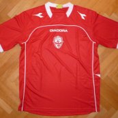 Away football shirt 2013 - 2014