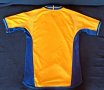 Sweden Home football shirt 2004 - 2005