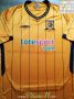 Hull City Home football shirt 2009 - 2010