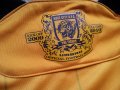 Hull City Home football shirt 2009 - 2010