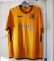 Hull City Home football shirt 2009 - 2010