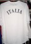 Italy Training/Leisure football shirt 1985 - 2016