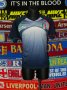 Italy Training/Leisure football shirt 1985 - 2016