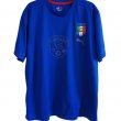 Training/Leisure football shirt 2008 - 2010