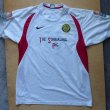 Third football shirt 2008 - 2009