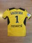 Toulouse Goalkeeper football shirt 2016 - 2017