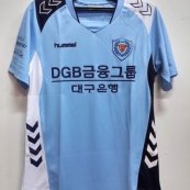 Home football shirt 2014