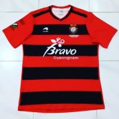 Home football shirt 2016