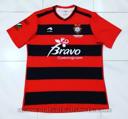 Gyeongnam FC Home football shirt 2016