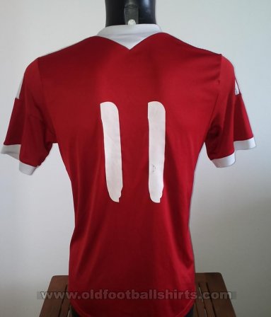 Libya Home football shirt 2014 - 2016
