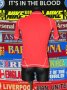 Auxerre Away football shirt 2001 - 2002