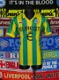 Nantes Home football shirt 1994 - 1995