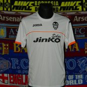Training/Leisure football shirt 2014 - 2015