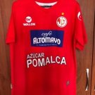 Home football shirt 2013
