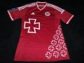 Volyn Lutsk Home football shirt 2014 - 2015