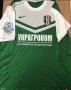PFC Oleksandria Home football shirt 2016 - 2017