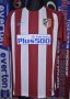 Atletico Madrid Home football shirt 2016 - 2017