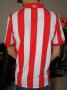 Atletico Madrid Home football shirt 2009 - 2010