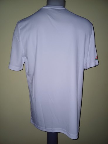 Niger Home football shirt 2022