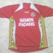Home football shirt 2010 - 2011