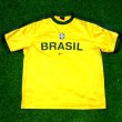 Training/Leisure football shirt 2001 - 2002