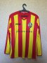 Zirka Kirovohrad Unknown shirt type 2013 - 2014