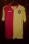 Zirka Kirovohrad Home football shirt 2016 - 2017
