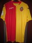 Zirka Kirovohrad Home football shirt 2016 - 2017