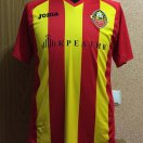 Zirka Kirovohrad football shirt 2013 - 2014