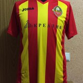 Unknown shirt type 2013 - 2014
