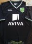 Norwich City חוץ חולצת כדורגל 2008 - 2009