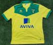 Norwich City Home football shirt 2014 - 2015