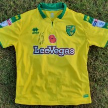 Norwich City Home football shirt 2017 - 2018 sponsored by LeoVegas