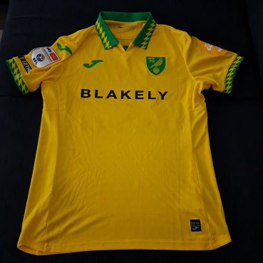Norwich City Home football shirt 2025 - 2026