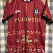 Training/Leisure football shirt 2022