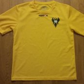 Away football shirt 2012 - 2014