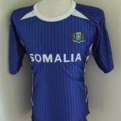 Training/Leisure football shirt 2012 - ?